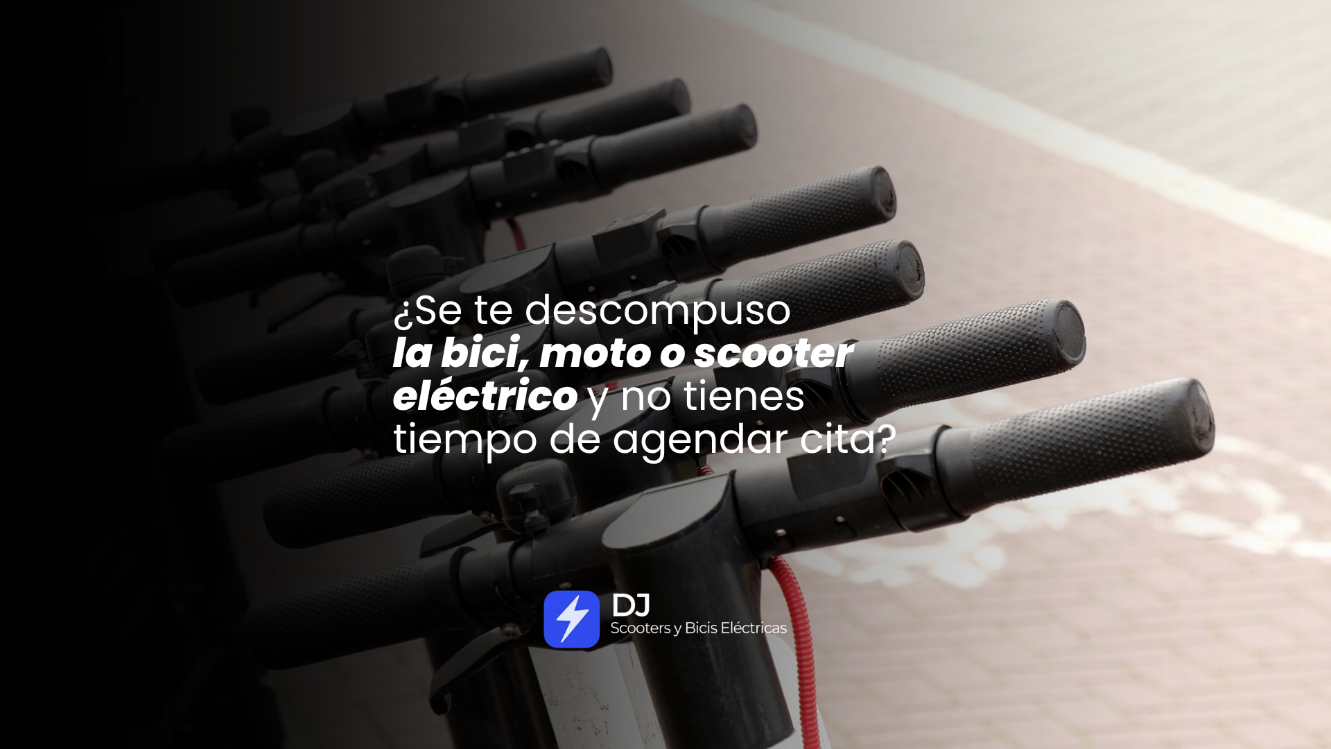 Proyecto 3