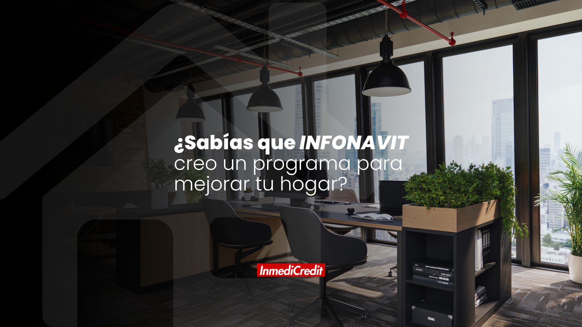 Proyecto 1