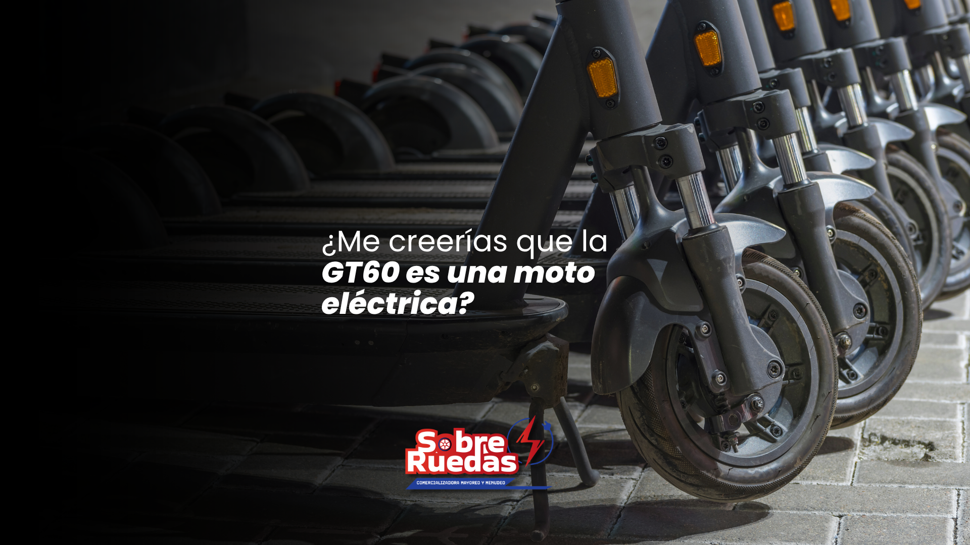 Proyecto 1
